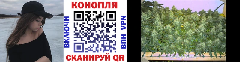 kraken ONION  Грязи  Бошки Шишки THC 21% 